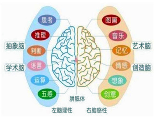 四维教育