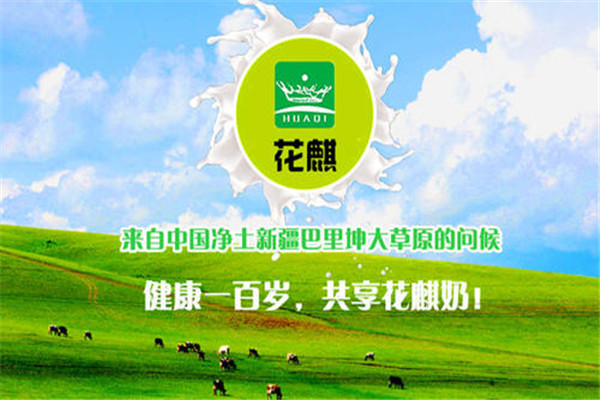花麒驴奶粉