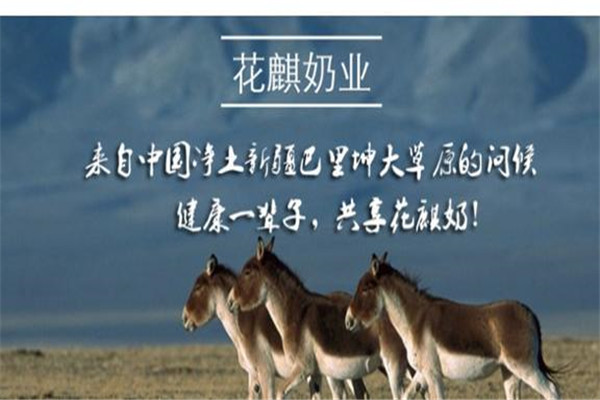 花麒驴奶粉
