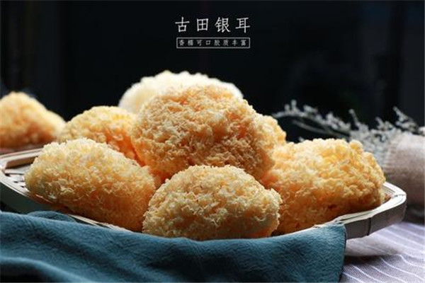 古田银耳