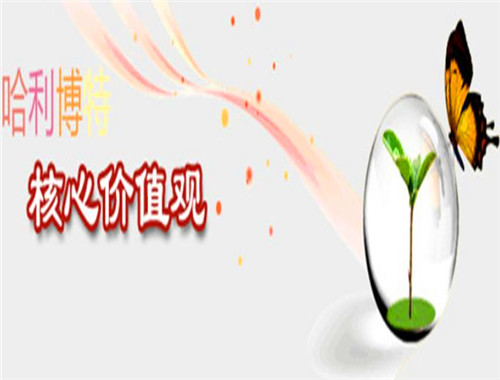 哈利博特教育
