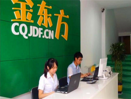 金东方教育