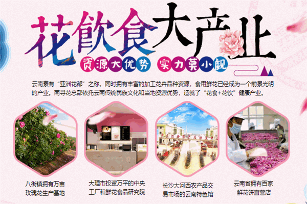 南寻花鲜花饼