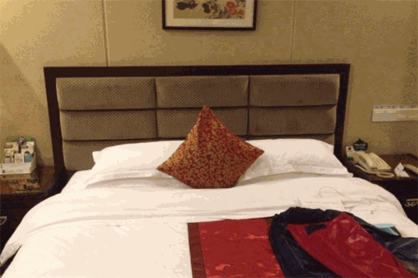 阆中大酒店