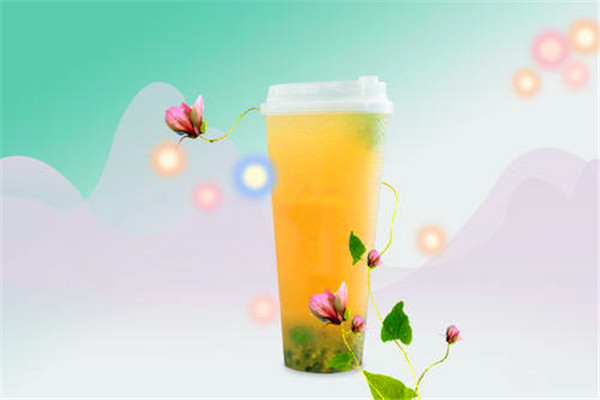 初岛贡茶