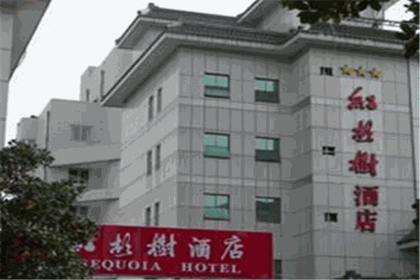 红杉树酒店