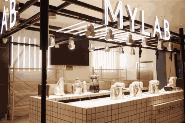 mylab
