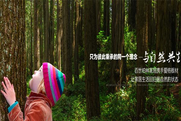 百世柏林橱柜加盟