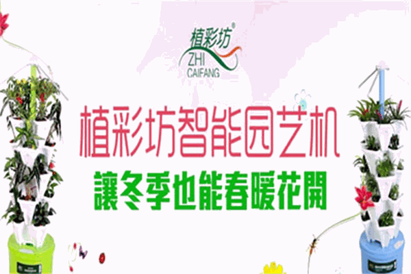 植彩坊园艺加盟