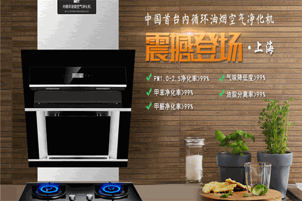 多环油烟净化器加盟