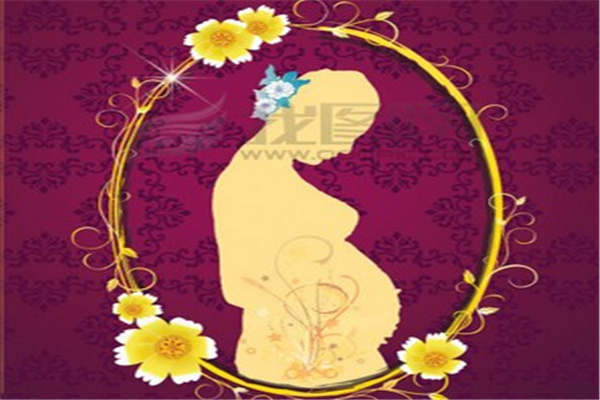 好运宝贝孕妇装加盟