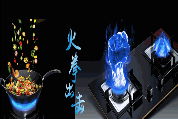 厨师傅厨卫电器加盟