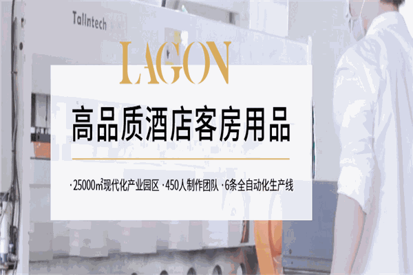 龙之湖酒店用品