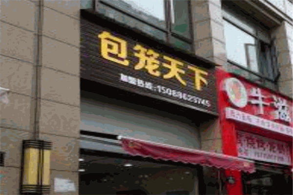 包笼天下