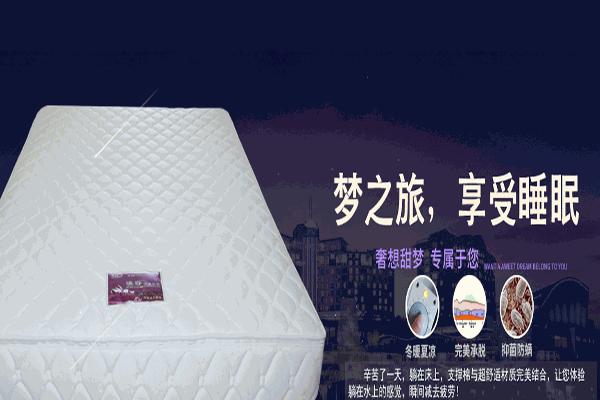 澳莎恒温水床加盟