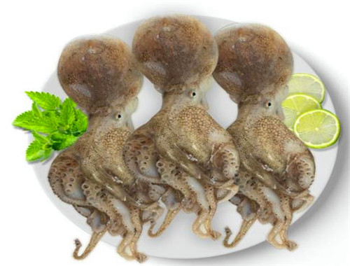 渝南火锅食材超市