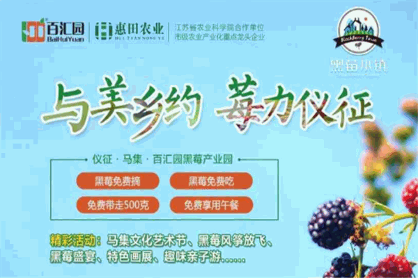 百汇园黑莓饮料