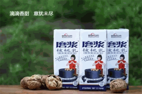 磨浆核桃乳