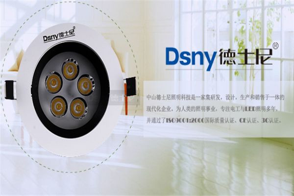 德士尼照明加盟