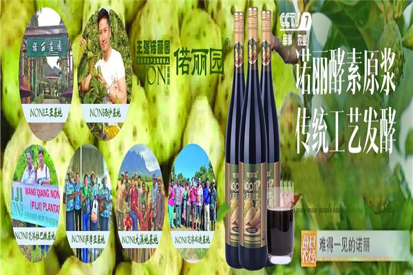诺丽果汁