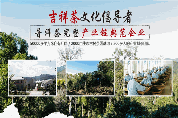 中吉号茶业