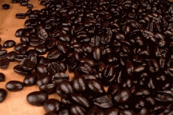 金比卡咖啡奶茶