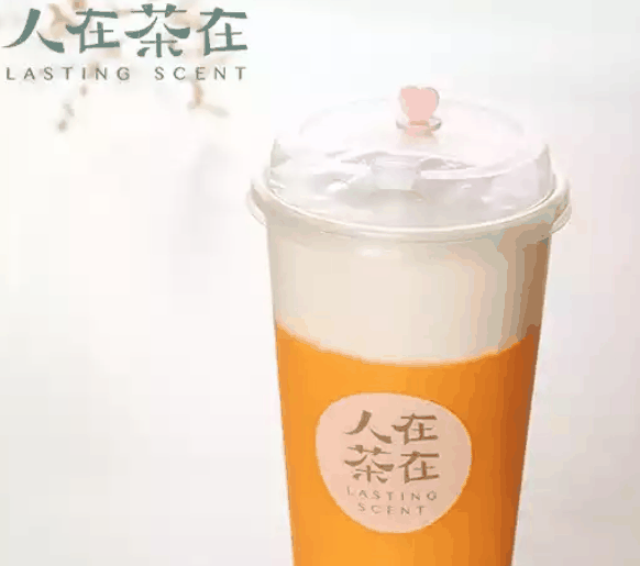人在茶在