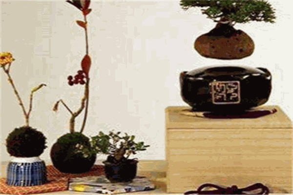 香榭丽舍家居家饰品