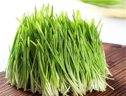 爽舌尖芽苗菜