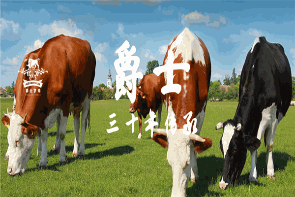 爵士牛排