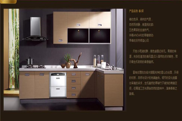 荣事达橱柜