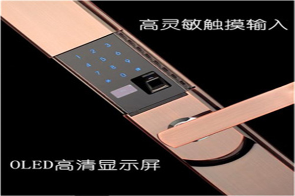 顶吉无孔智能锁加盟