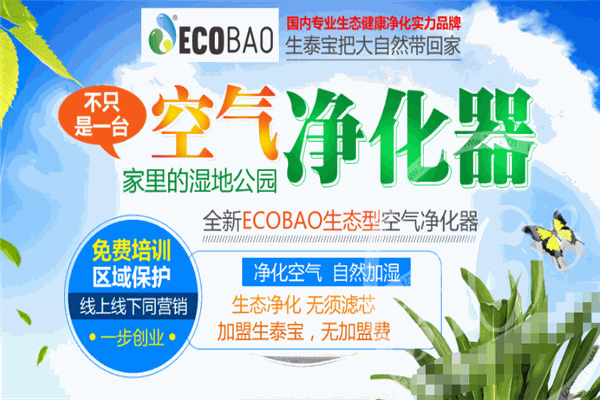 生泰宝空气净化器加盟