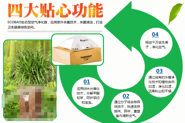 生泰宝空气净化器加盟