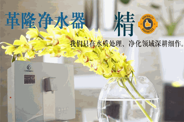 革隆净水器加盟