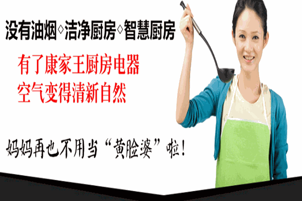 康家王智能电器加盟
