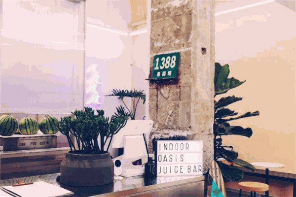 indoor oasis绿洲间