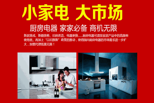 康家王智能电器加盟