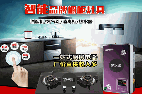 康家王智能电器加盟