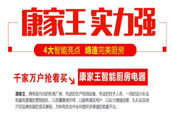 康家王智能电器加盟