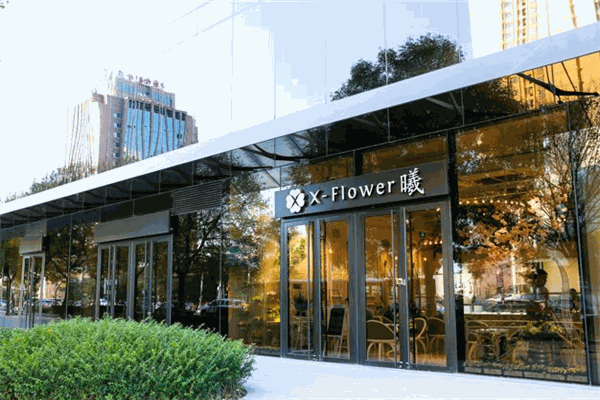 XFlower曦
