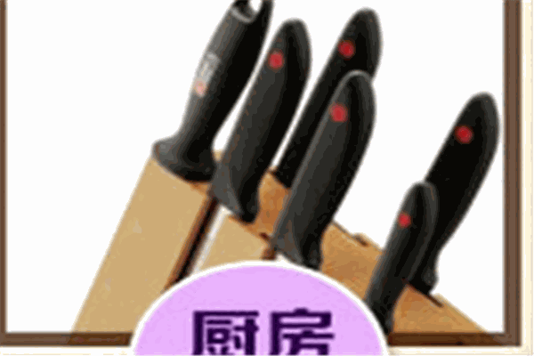 丽购家世界加盟