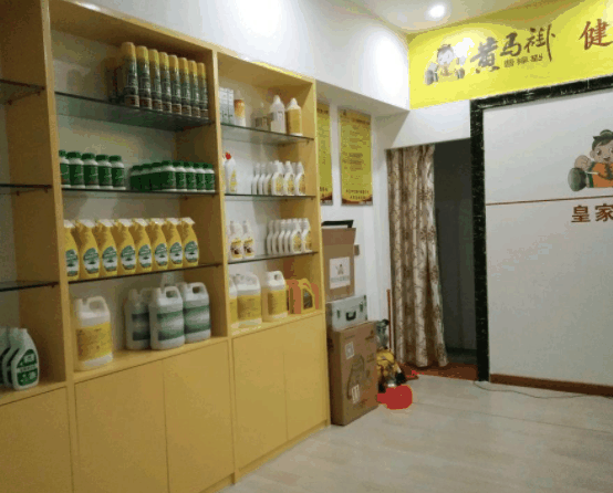 黄马褂曹操到家政