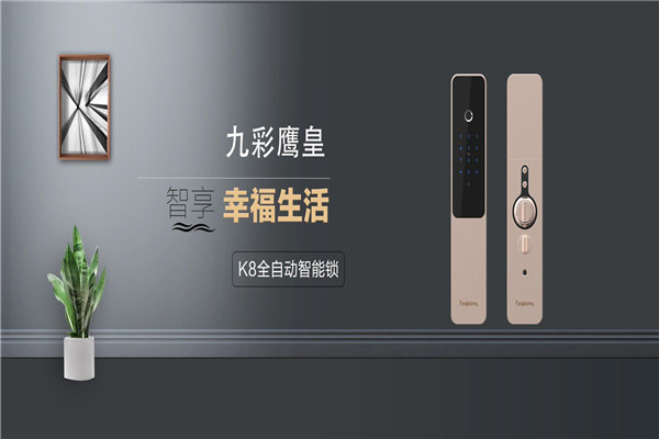 九彩鹰皇智能家居加盟