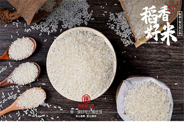 锡纸遇上饭