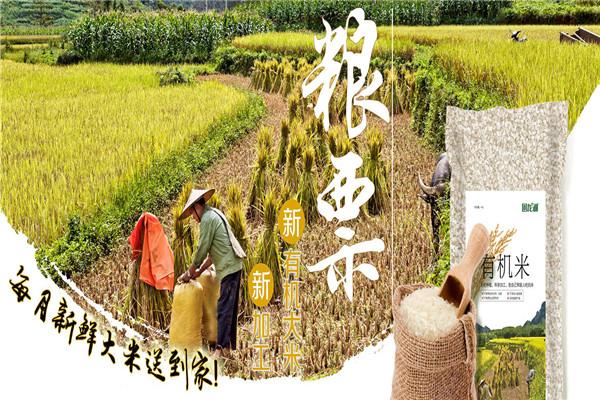 凤梧超市
