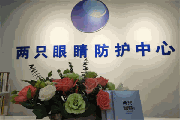 两只眼睛视力防治中心