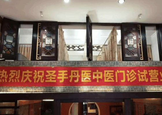 圣手丹医
