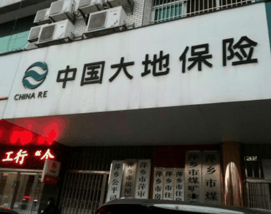 大地保险