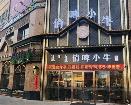 俏啤小牛